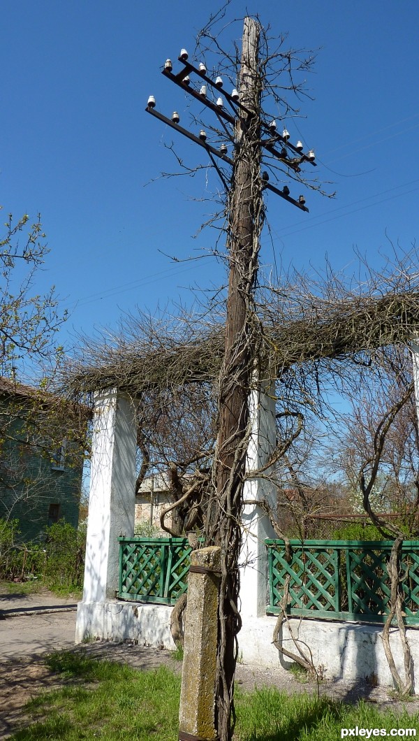 Old electrical post